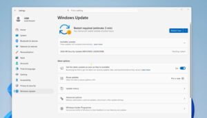 Download Windows 11 KB5121003